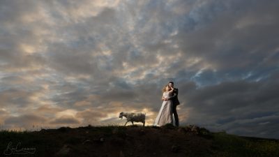Bride & Groom pose on their wedding day at sunset with a goat!